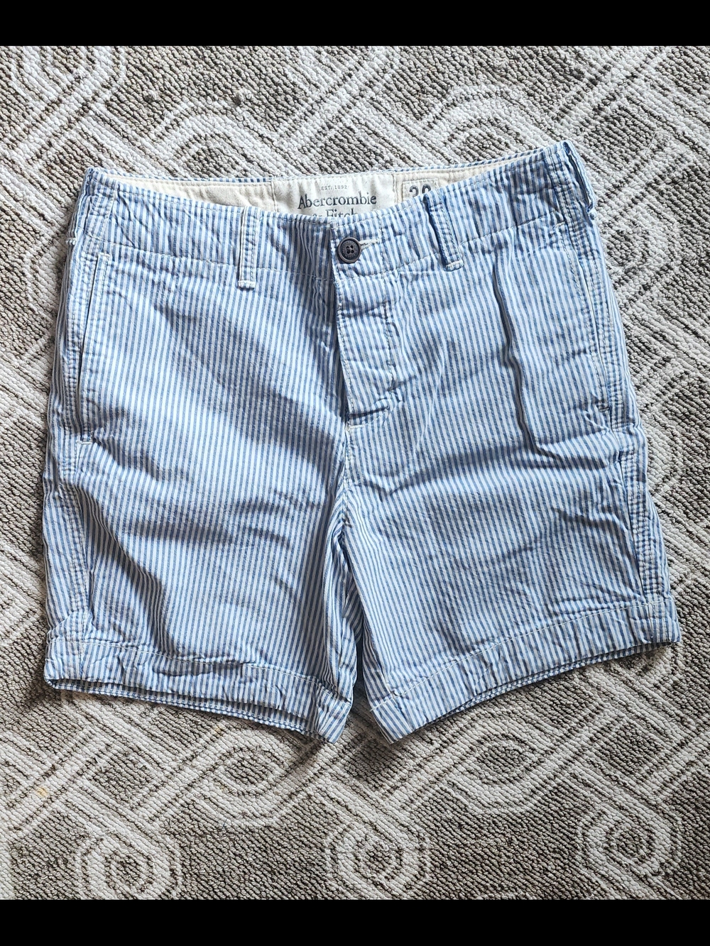 Abercrombie & Fitch Blue and White Striped Flat Front Shorts